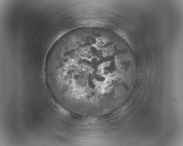 X0000072531071200607290218