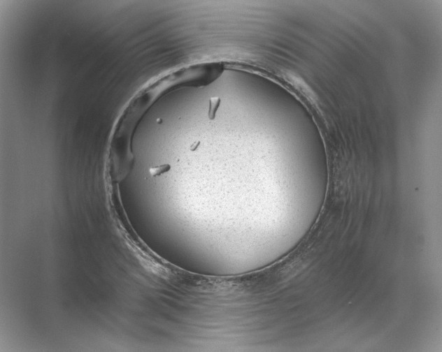 X0000072531072200607290218