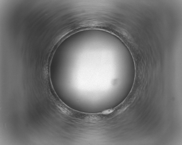 X0000072531073200607290218