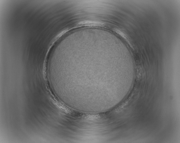 X0000072531074200607290218