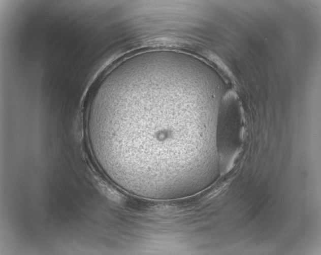 X0000072531075200607290218