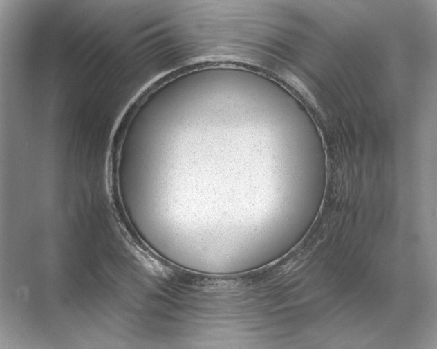 X0000072531076200607290218