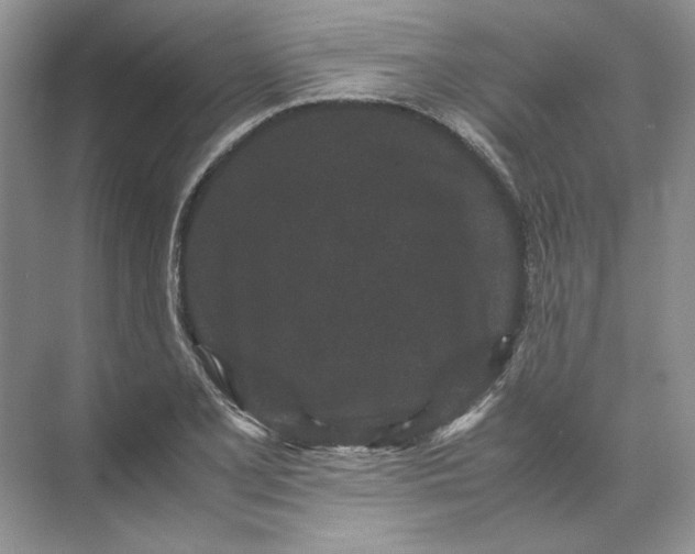 X0000072531077200607290218