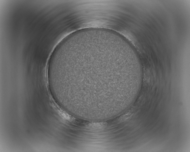 X0000072531078200607290218