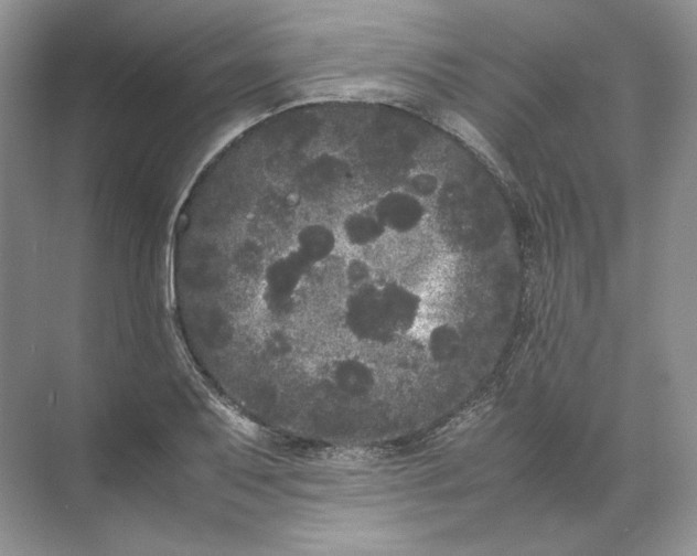 X0000072531079200607290218