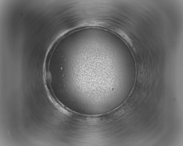 X0000072531080200607290218