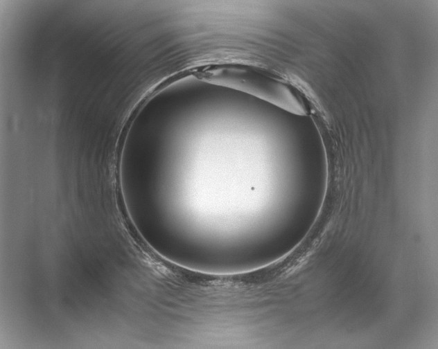 X0000072531081200607290218