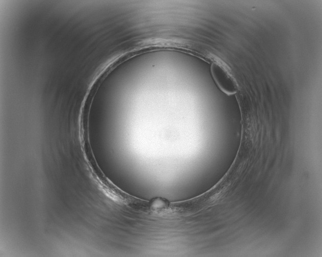 X0000072531082200607290218