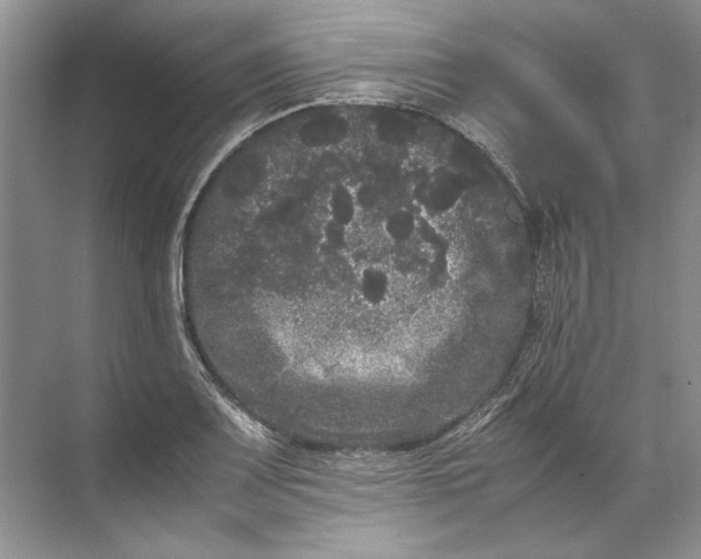 X0000072531083200607290218