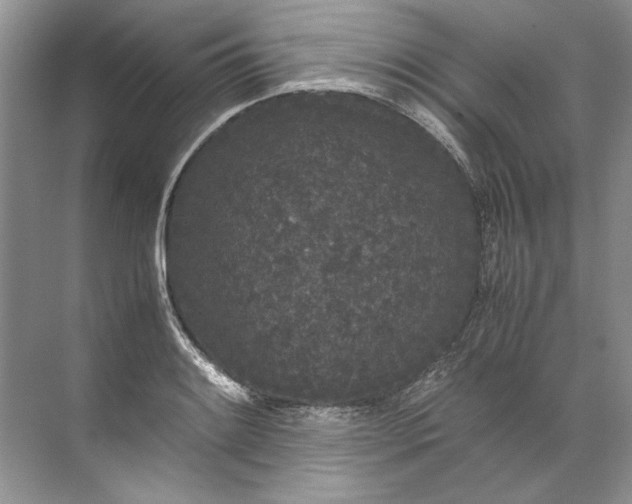 X0000072531084200607290218