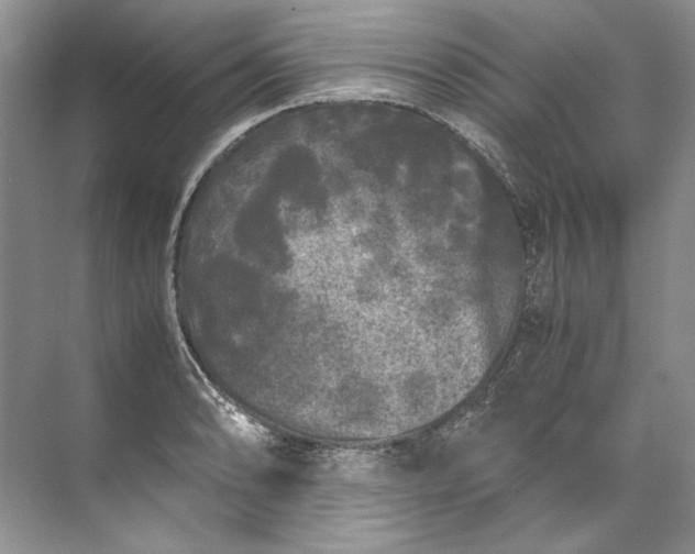 X0000072531086200607290218