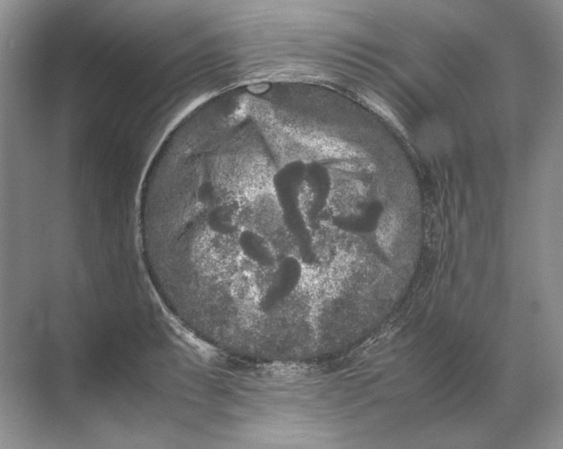 X0000072531087200607290218