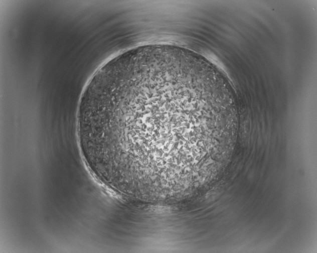 X0000072531088200607290218