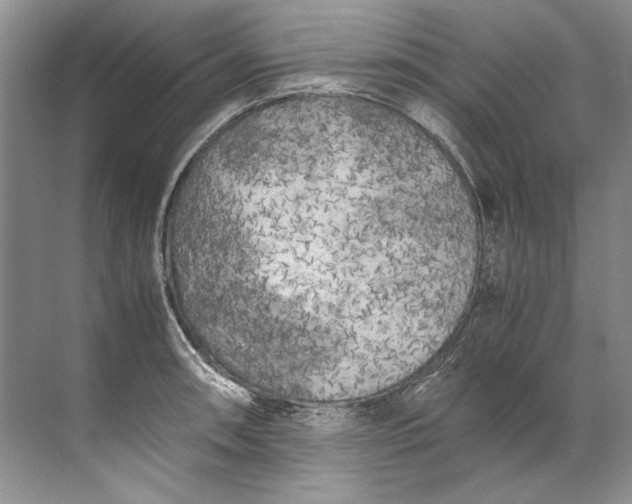 X0000072531090200607290218