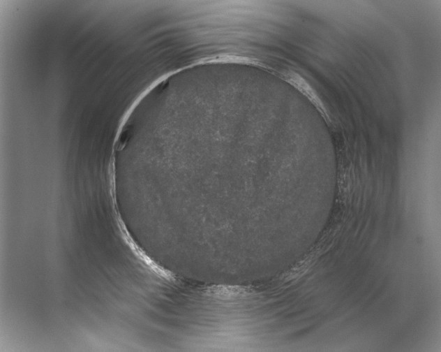 X0000072531092200607290218