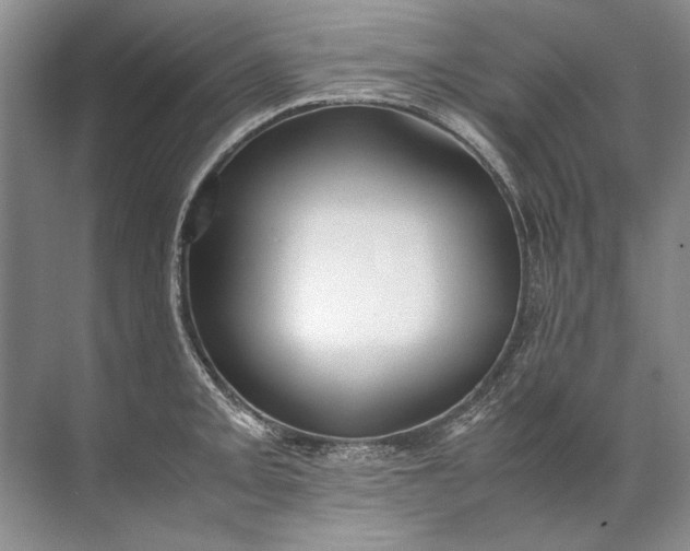 X0000072531093200607290218