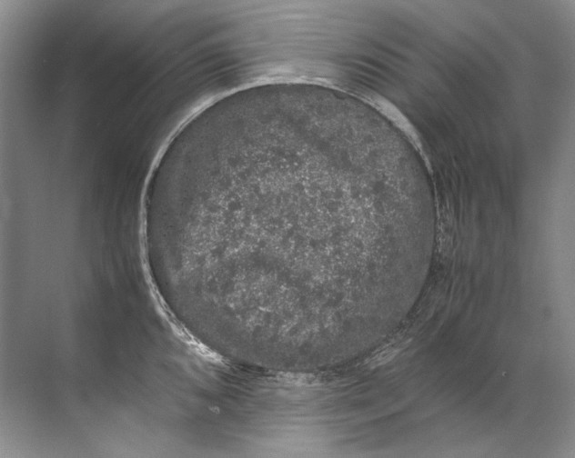 X0000072531096200607290218