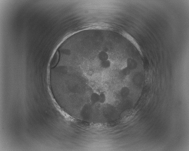 X0000072531099200607290218