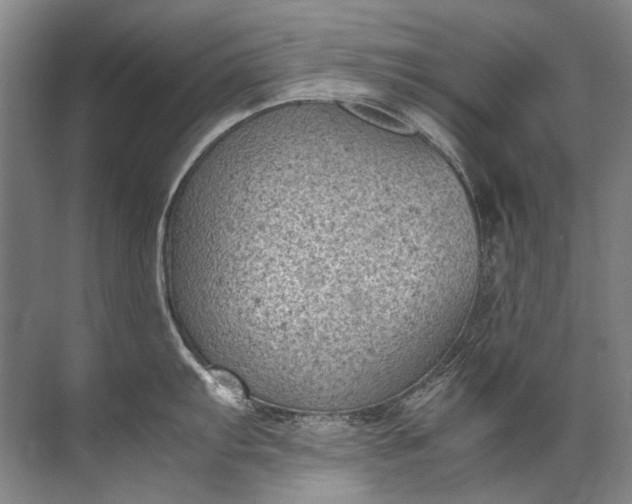 X0000072531103200607290218