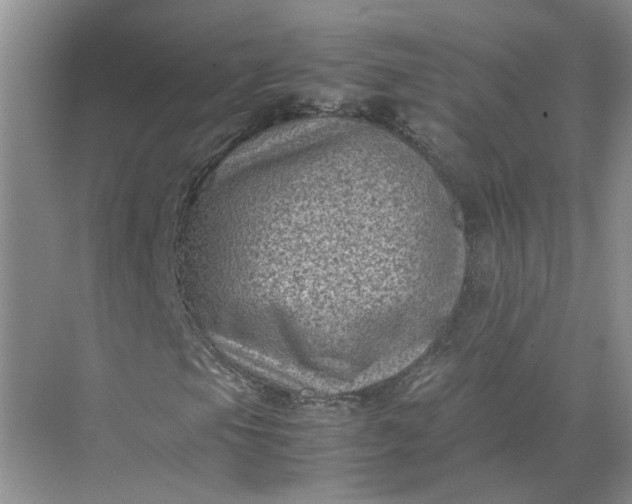 X0000072531105200607290217