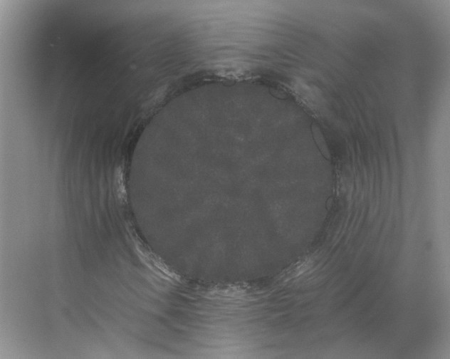 X0000072531106200607290217