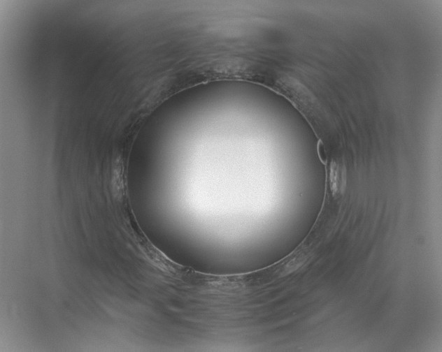 X0000072531107200607290217