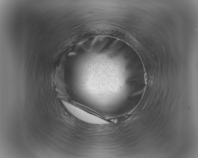 X0000072531108200607290217