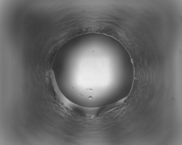 X0000072531109200607290217