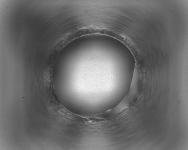 X0000072531110200607290217