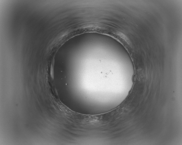 X0000072531111200607290217