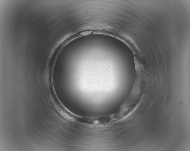 X0000072531114200607290217