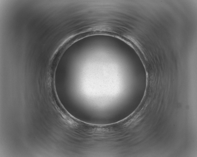 X0000072531115200607290217