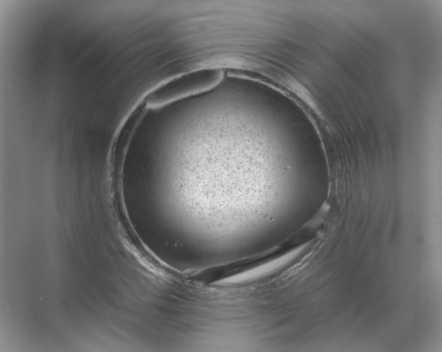 X0000072531116200607290217