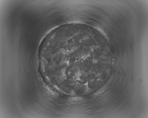 X0000072531117200607290217