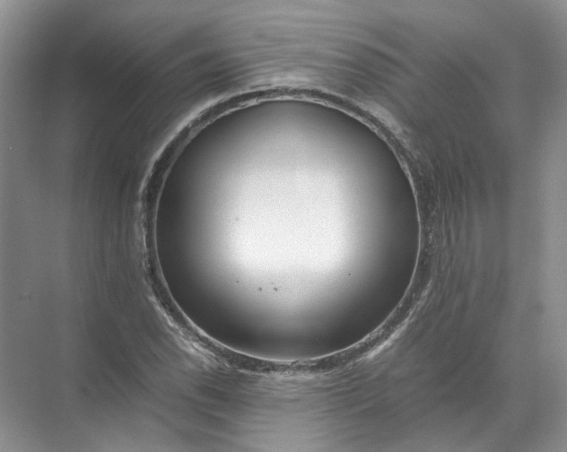 X0000072531118200607290217