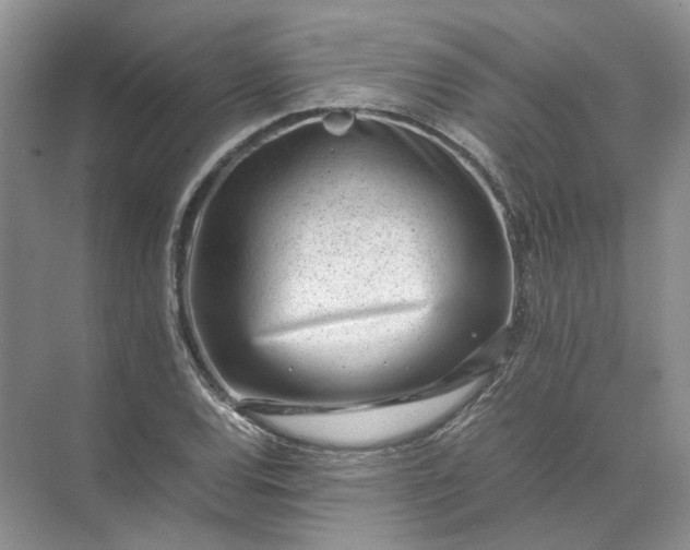 X0000072531120200607290217