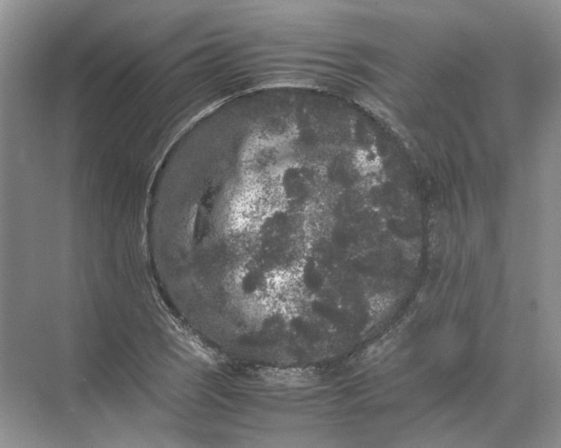 X0000072531121200607290217