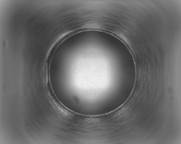 X0000072531123200607290217