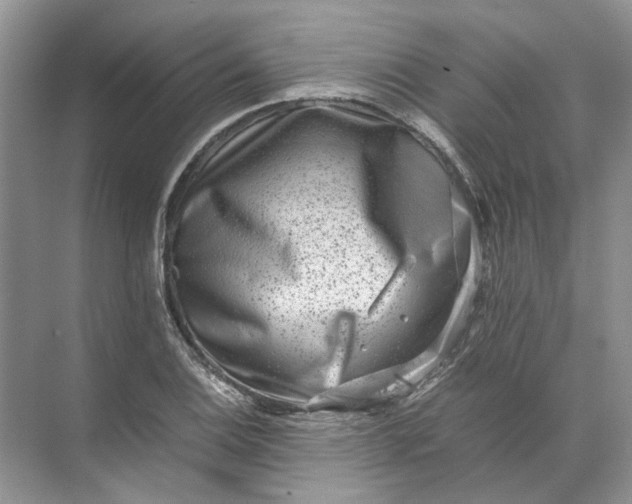 X0000072531124200607290217