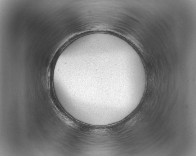 X0000072531126200607290217