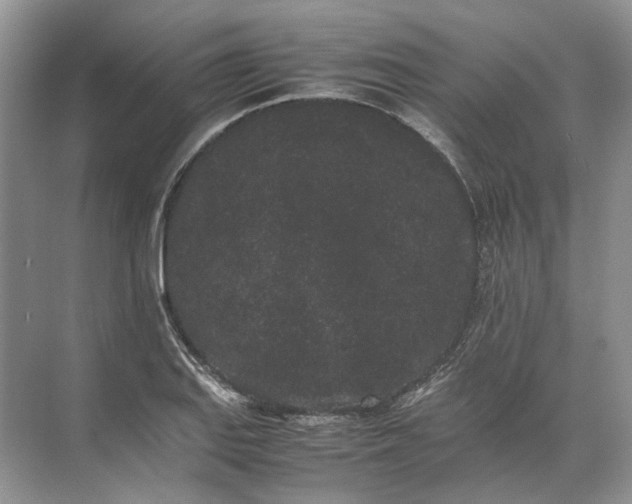 X0000072531127200607290217