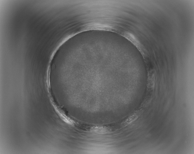 X0000072531128200607290217