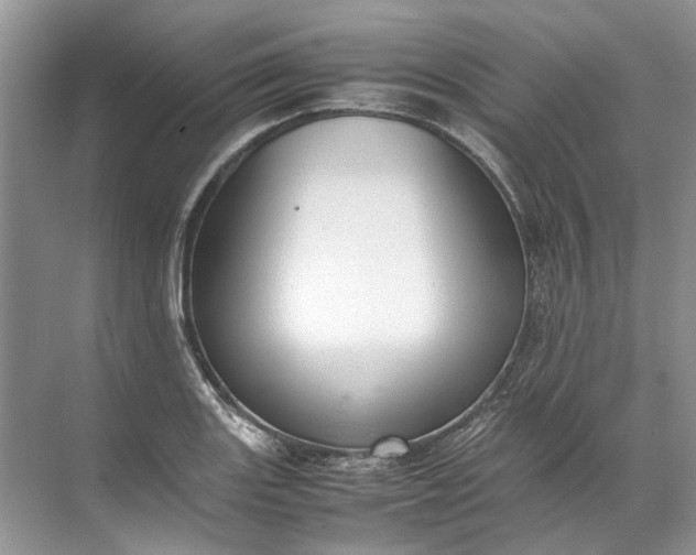 X0000072531131200607290217