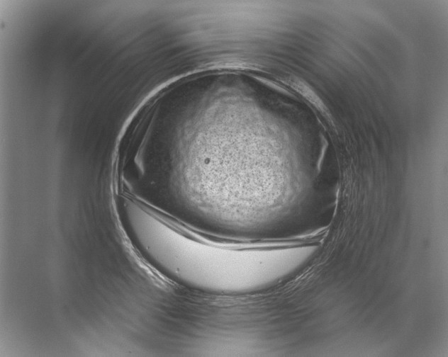 X0000072531132200607290217