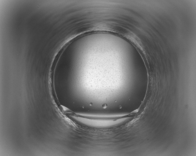 X0000072531133200607290217