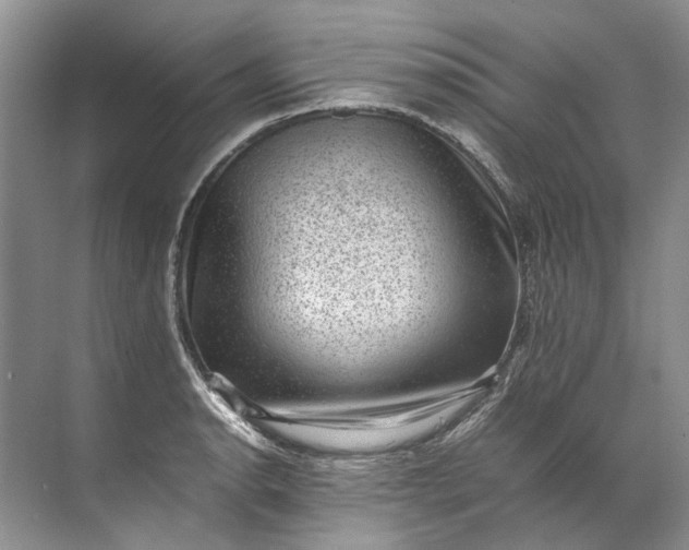 X0000072531134200607290217