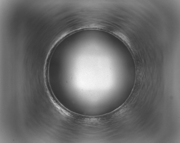 X0000072531135200607290217