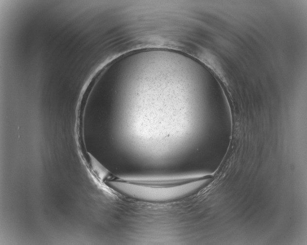 X0000072531136200607290217