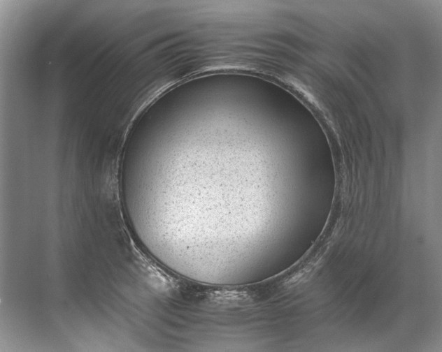 X0000072531137200607290217