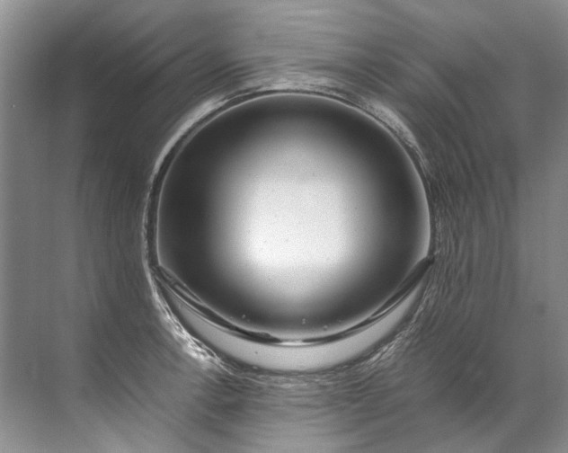 X0000072531138200607290217